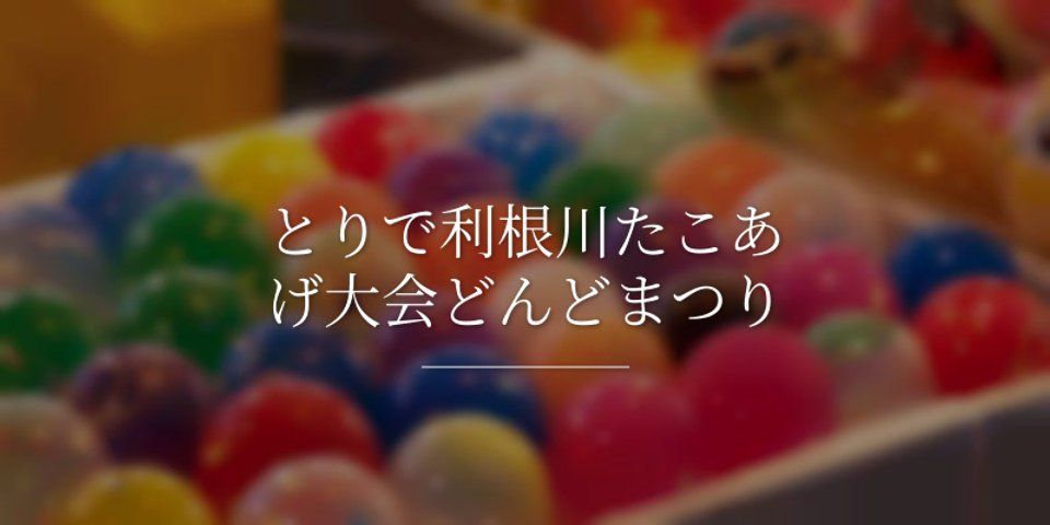利根川たこあげ大会・どんどまつり