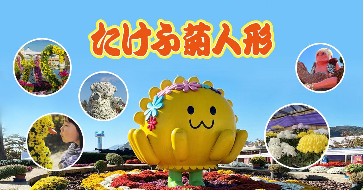 武生の菊人形