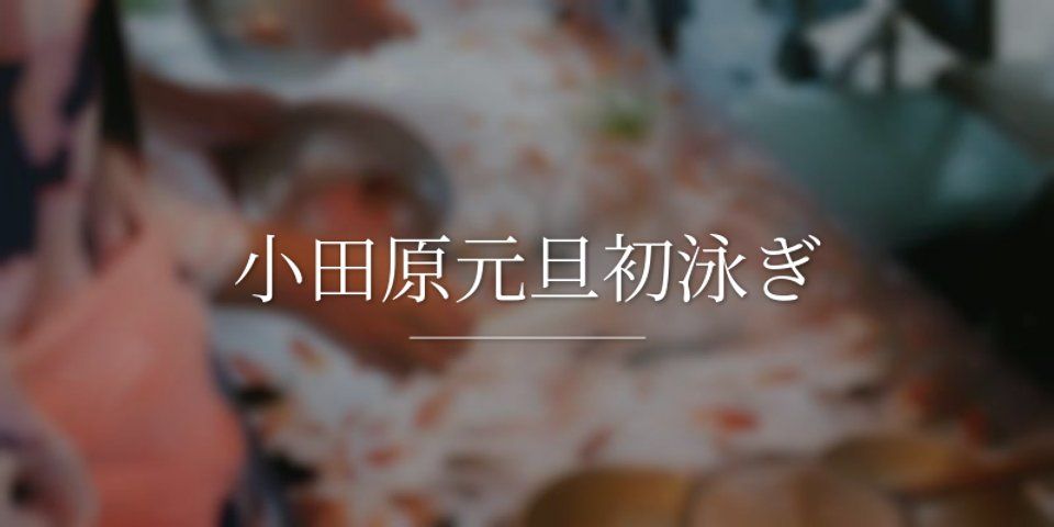 小田原元旦初泳ぎ