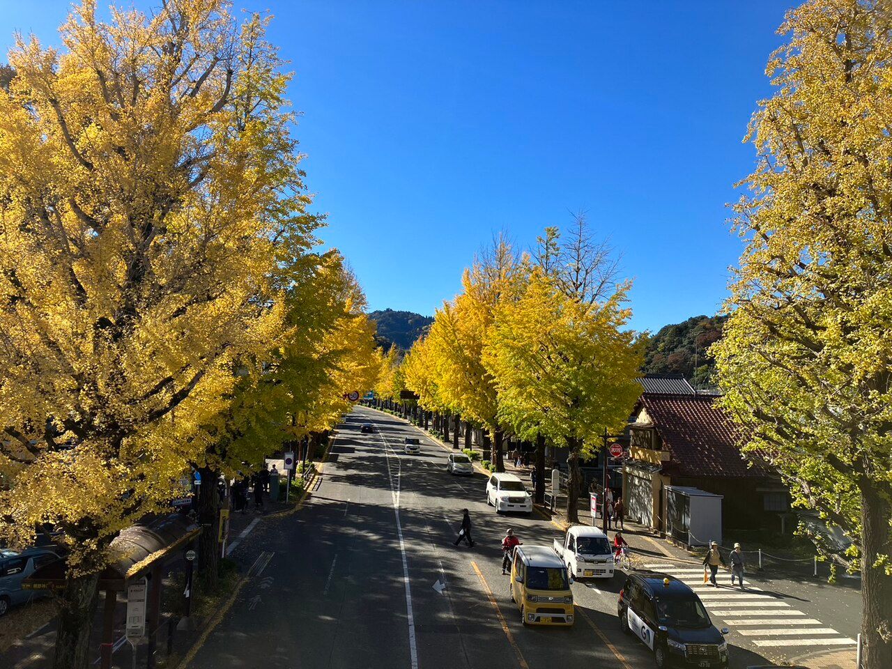 八王子いちょう祭り