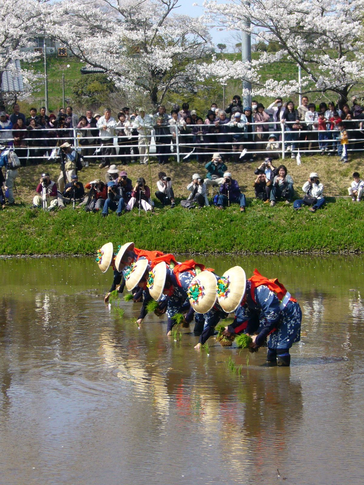 香取神宮御田植祭